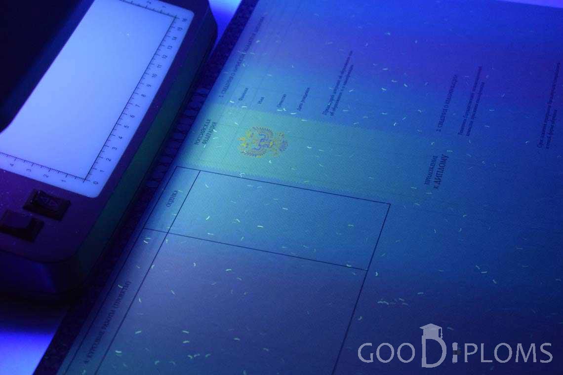 Приложение к Диплому о Высшем Образовании с Отличием в Ультрафиолете - Арзамас